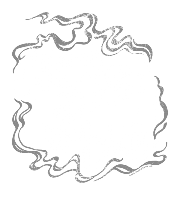 Cheech & Chong Classic Duo Smoke Logo T-Shirt